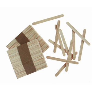 Darice craft sticks